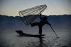 Myanmar
Lago Inle
Come giocolieri, questi pescatori del Lago Inle restano in equilibrio sulle loro barchette con un solo piede, usando laltro per spingere il pi lontano la nassa, lanciandola sui pesci che i loro sguardi indagatori riescono ad individuare tra le acque limacciose.
Nel loro particolare ed unico modo di pescare, nella fioca luce dellalba disegnano con i loro corpi ed i loro strumenti ardite figure geometriche che lasciano quasi interdetti per la loro perfezione.


